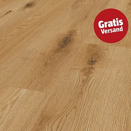 LOGOCLIC Edition Laminat Family