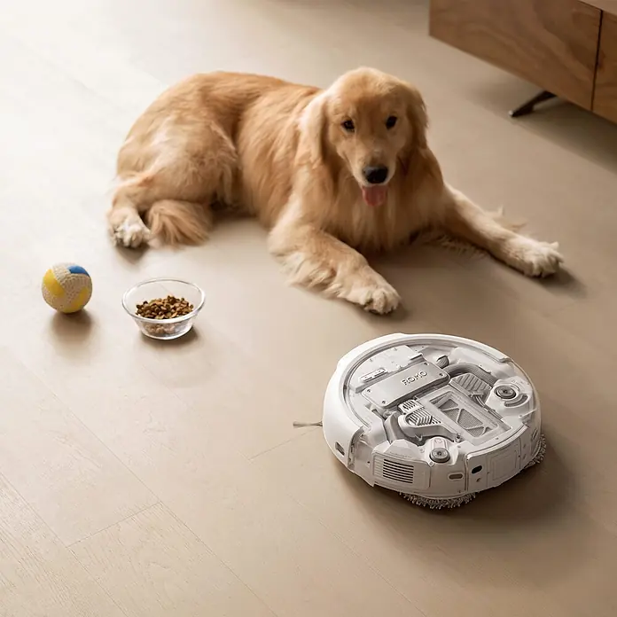 DJI Saugwischroboter A - Saugkraft: 25.000 Pa, Akkulaufzeit: 180 min, Fassungsvermögen Roboter: 260 ml - Weißer Saugroboter reinigt einen Holzboden neben einem Golden Retriever, Spielzeug und Futternapf.