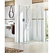 Camargue Vario Douchewand, vast element S16 (60 x 195 cm, Gecoat, Dikte: 6 mm, Zilver)