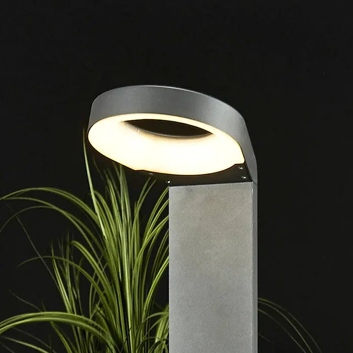 Lucande LED Wegeleuchte in anthrazit, Gartenlampe -  - Moderne, graue Außenleuchte mit ovalem warmweißem Licht, das grünes Laub beleuchtet.