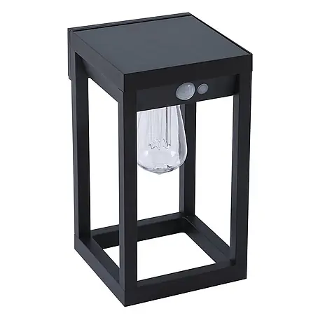 Lindby LED Solar Wandleuchte aussen Smart Home in schwarz, transparent, mit
