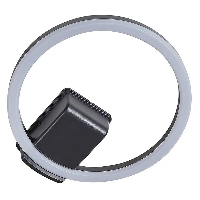 Lindby LED Outdoor Deckenlampe in schwarz, weiß, Deckenleuchte außen rund -  - Kreisförmige LED-Leuchte mit dunkelgrauem Gehäuse und weißem lichtdurchlässigem Ring.
