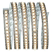 Paulmann LED traka (1,5 m, Topla bijela, 20 W)