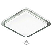 Steinel Sensor-Innenleuchte RS LED D2 V3