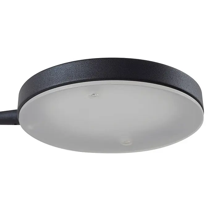 Lindby LED Stehlampe Wohnzimmer in schwarz, transparent, dimmbar -  - Runde, dunkelgraue Außenleuchte mit strukturierter Oberfläche und mattweißem Diffusor.