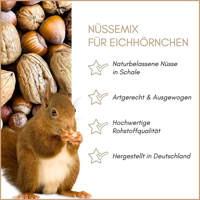 Supravit Eichhörnchenfutter - 1.000 g - Eichhörnchen isst eine Nuss, umgeben von Walnüssen und Haselnüssen, für Eichhörnchen-Nussmischung.