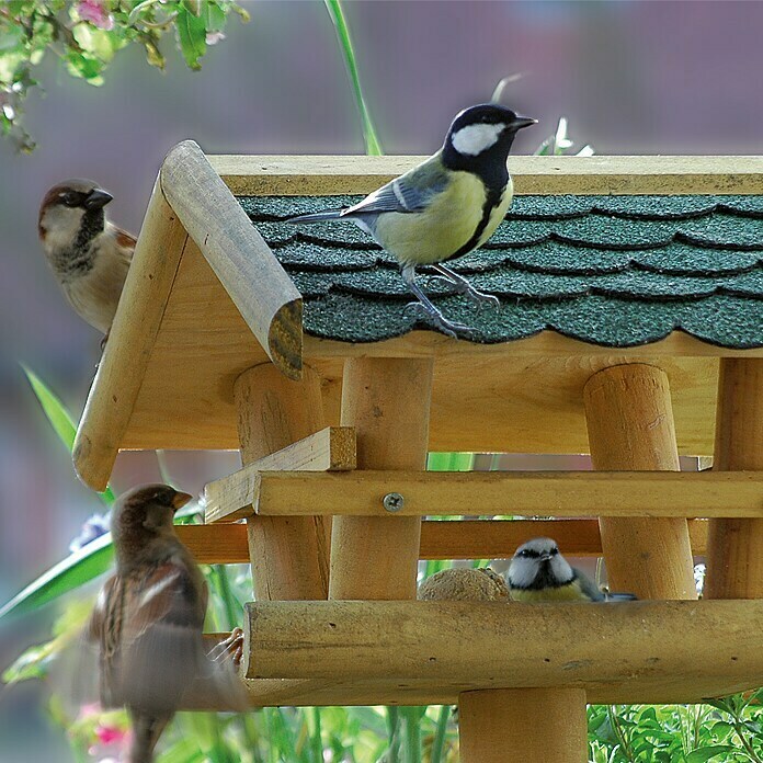 Dobar Vogelfutterhaus mit Ständer37 x 28 x 101 cm, Vogelhausständer Use Shot