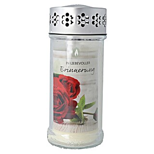 Hofer Friedlicht Grablicht Brillant (Ø x H: 7,5 x 18,5 cm, Rose)