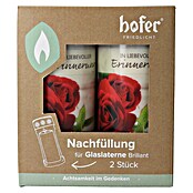 Hofer Friedlicht Grablicht Brillant Nachfüllung (Ø x H: 6,7 x 14,9 cm, Rose, 2 Stk.) | BAUHAUS