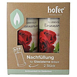 Hofer Friedlicht Grablicht Brillant Nachfüllung (Ø x H: 6,7 x 14,9 cm, Rose, 2 Stk.)