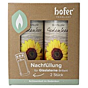Hofer Friedlicht Grablicht Brillant Nachfüllung (Ø x H: 6,7 x 14,9 cm, Sonnenblume, 2 Stk.) | BAUHAUS