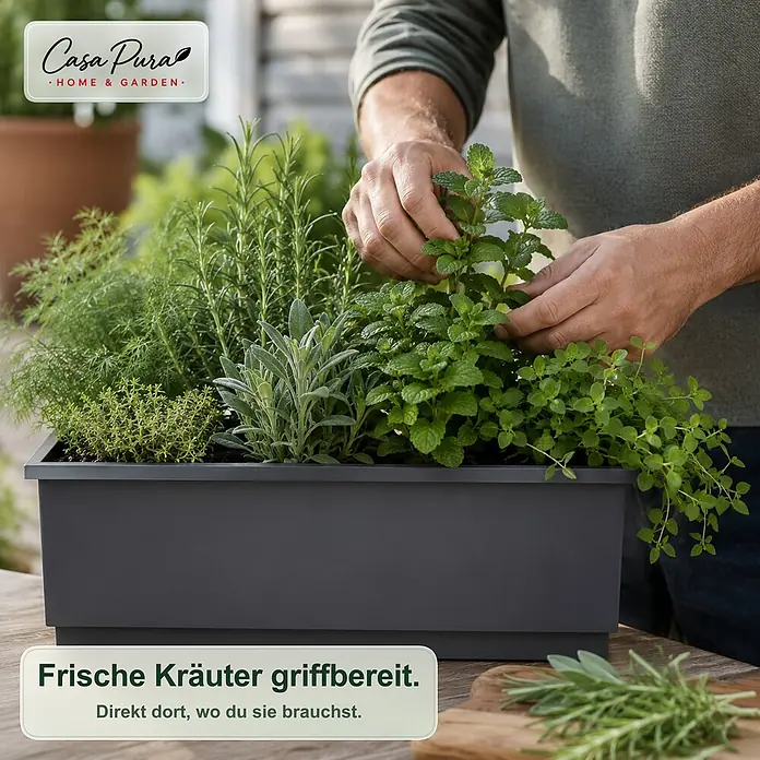 Floordirekt Balkonkasten - Max. Außenlänge: 50 cm, Stahl, Anthrazit - Dunkelgrauer rechteckiger Pflanzkasten mit frischen Kräutern auf Holztisch, Hände pflücken Minze.