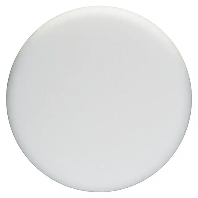 Bosch Esponja de pulido - Diámetro: 170 mm - Primer plano de un único producto blanco redondo con una superficie ligeramente texturizada, ideal para branding o decoración.