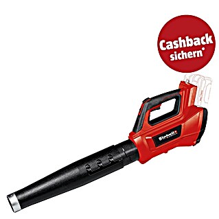 Einhell Professional PXC 18V Akku-Laubbläser GP-LB 36/210 Li E-Solo (18 V, Ohne Akku, Blasgeschwindigkeit: 210 km/h, Blasleistung: 816 m³/min)