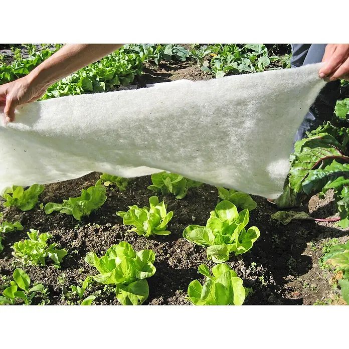 Windhager Kälteschutz Schafwoll-Matte - 2 x 1 m - Weißes Gartenvlies bedeckt junge Pflanzen im Beet.