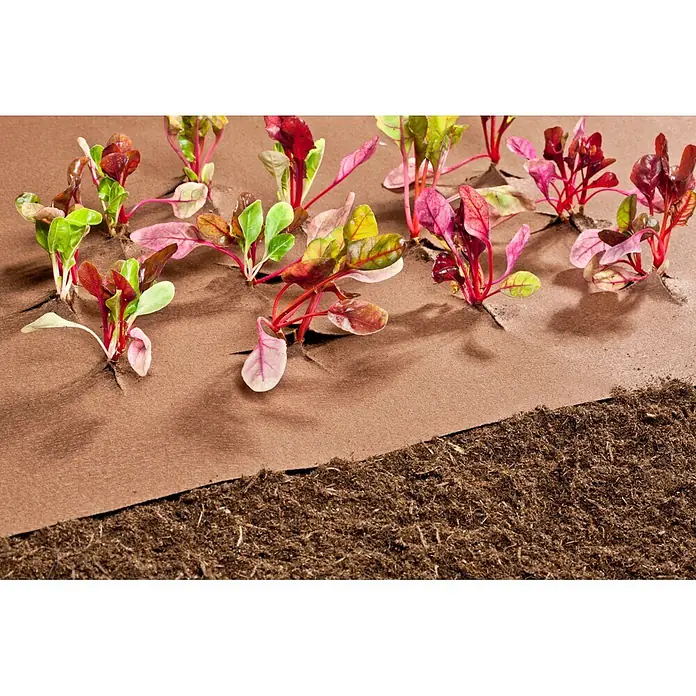 Windhager Unkrautvlies Premium - Vlies, 10 x 0,9 m - Braunes Unkrautvlies mit jungen Pflanzen, die durch Schnitte wachsen, auf Erde verlegt.