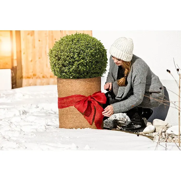 Windhager Kokosschutzmatte - L x B x S: 1,5 m x 50 cm x 10 mm, Natur - Eine Frau richtet eine rote Schleife an einer grünen Topfpflanze im Schnee zurecht.