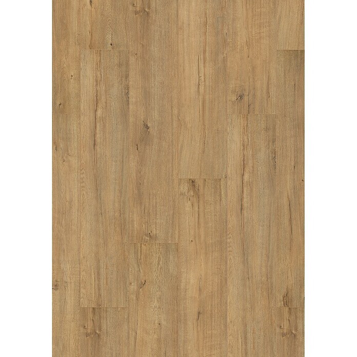 Laminat Gold Apollo Eiche (Braun, 1 288 x 245 x 7 mm) | BAUHAUS