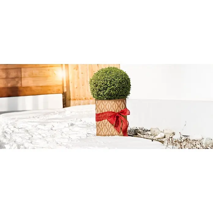 Windhager Winterschutz Kokos-Filzmatte Oriental - L x B: 150 x 50 cm - Grünes Buchsbaum-Topiary in einem Jutesack mit roter Schleife, draußen im Schnee.