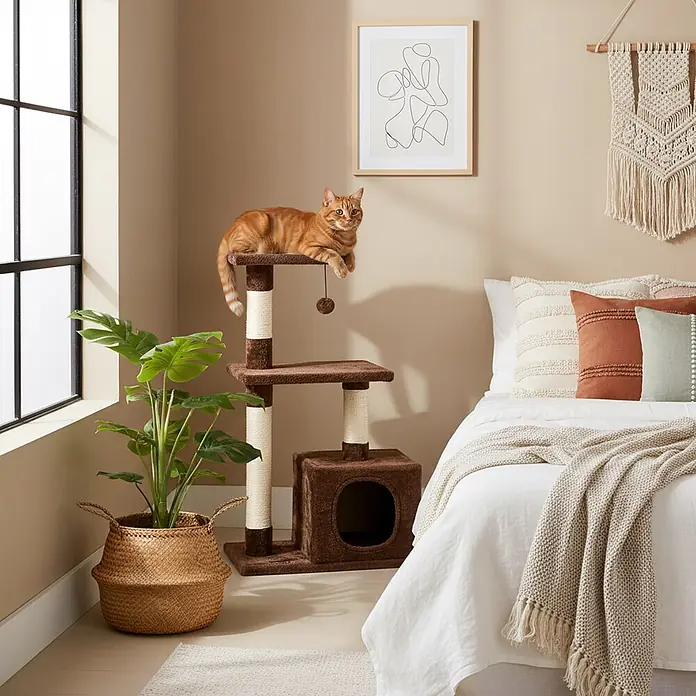 belviona Kratzbaum - 30 x 50 x 85 cm, Textil, braun - Mehrstufiger braun-weißer Katzenbaum mit Kratzpfosten und Katzenhöhle, eine rote Katze ruht auf der oberen Plattform im Schlafzimmer.