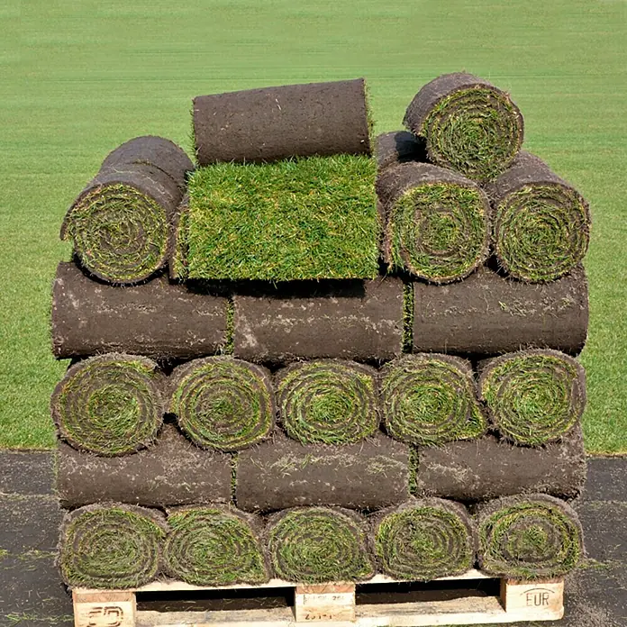 Piardino Premium Rollrasen - 30 m² - 39 m², Gebrauchsrasen, Gräser nach RSM 3.1 - Eine Palette mit Rollrasen. Perfekt für einen neuen, schnell verlegten Rasen.