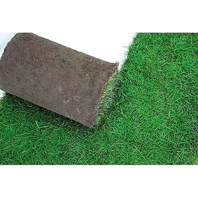 Piardino Rollrasen50 m² - 99 m², Sport- & Spielrasen, Gräser nach RSM 2.3