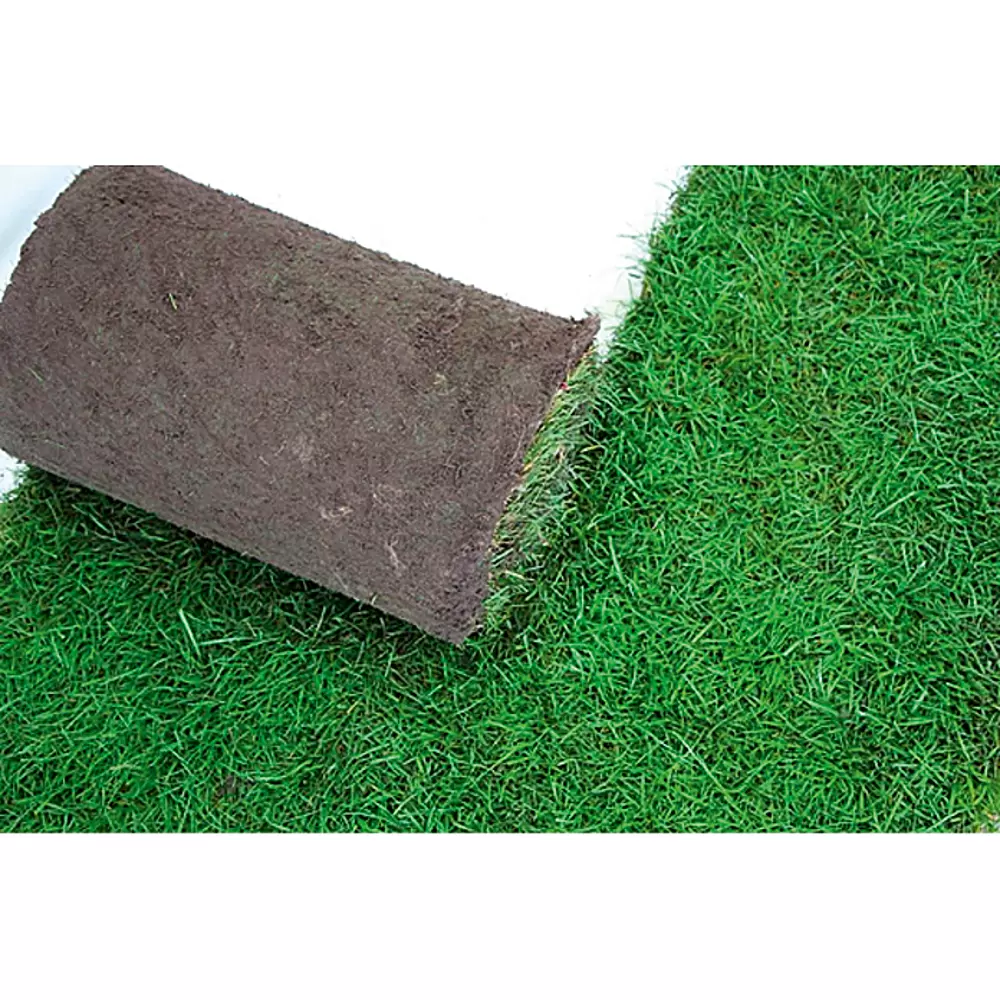 Piardino Rollrasen - 40 m - 49 m, Sport- & Spielrasen, Grser nach RSM  2.3 online kaufen bei BAUHAUS