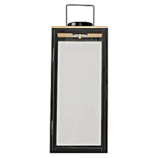 LED-Laterne Kaeli (21 x 21 x 49,5 cm, Timerfunktion, Schwarz)