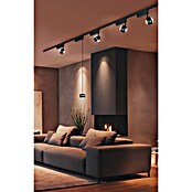 Trio Lighting DUOline Led-plafondspot Hamlet (Metaal, Zwart) | BAUHAUS