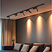 Trio Lighting DUOline Led-plafondspot Ambala (l x b x h: 4 x 19 x 16,5 cm, Metaal, Zwart) | BAUHAUS