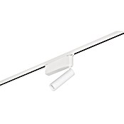 Trio Lighting DUOline Led-plafondspot Ambala (l x b x h: 4 x 19 x 16,5 cm, Metaal, Wit) | BAUHAUS