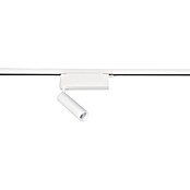 Trio Lighting DUOline Led-plafondspot Ambala (l x b x h: 4 x 19 x 16,5 cm, Metaal, Wit) | BAUHAUS