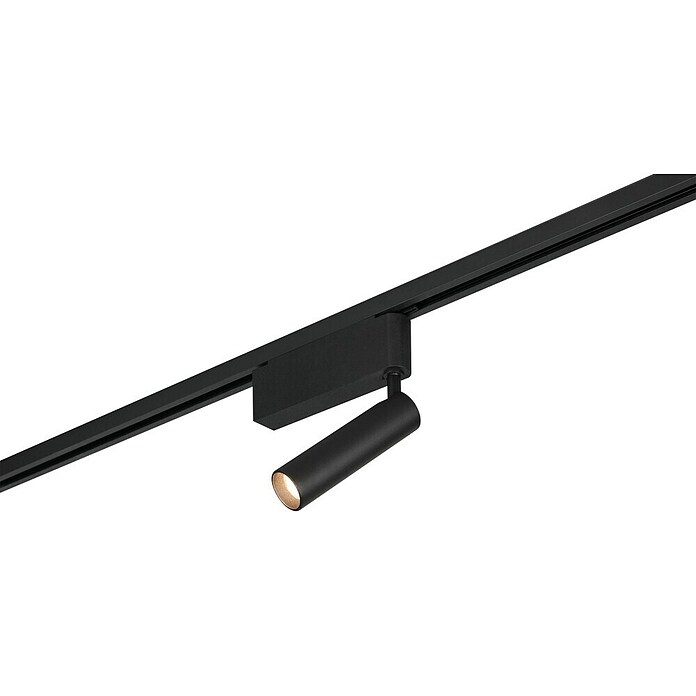 Trio Lighting DUOline Led-plafondspot Ambala (l x b x h: 4 x 19 x 16,5 cm, Metaal, Zwart) | BAUHAUS