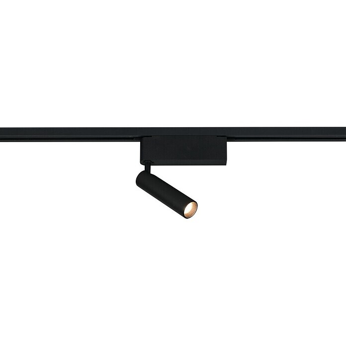 Trio Lighting DUOline Led-plafondspot Ambala (l x b x h: 4 x 19 x 16,5 cm, Metaal, Zwart) | BAUHAUS