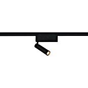 Trio Lighting DUOline Led-plafondspot Ambala (l x b x h: 4 x 19 x 16,5 cm, Metaal, Zwart) | BAUHAUS