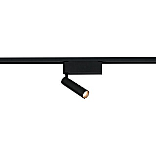 Trio Lighting DUOline Led-plafondspot Ambala (l x b x h: 4 x 19 x 16,5 cm, Metaal, Zwart)