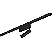 Trio Lighting DUOline Led-plafondspot Ambala (l x b x h: 4 x 19 x 16,5 cm, Metaal, Zwart) | BAUHAUS