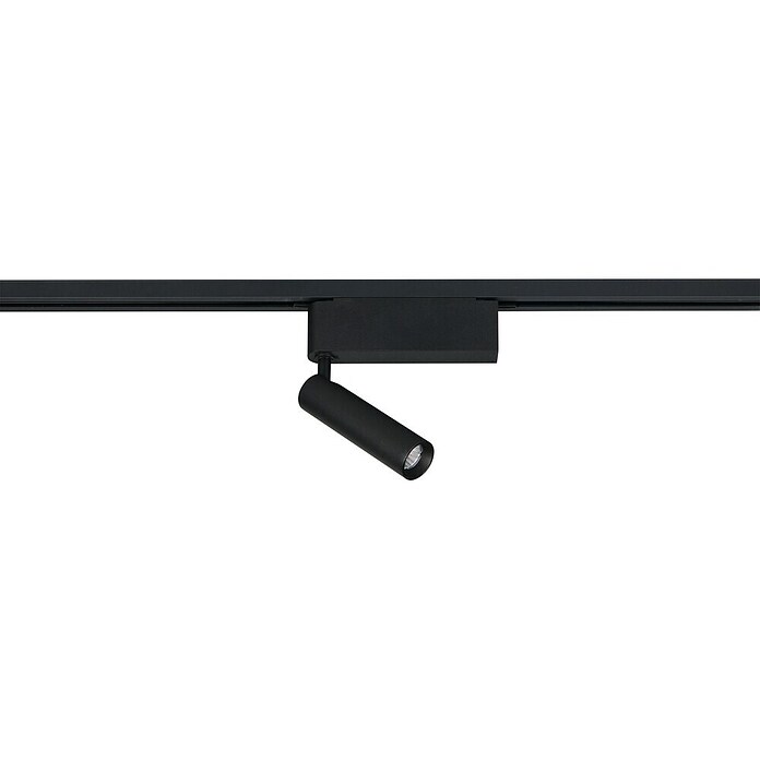 Trio Lighting DUOline Led-plafondspot Ambala (l x b x h: 4 x 19 x 16,5 cm, Metaal, Zwart) | BAUHAUS