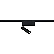 Trio Lighting DUOline Led-plafondspot Ambala (l x b x h: 4 x 19 x 16,5 cm, Metaal, Zwart) | BAUHAUS