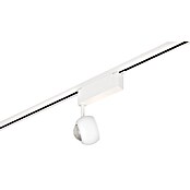 Trio Lighting DUOline Led-plafondspot Hamlet (Metaal, Wit) | BAUHAUS