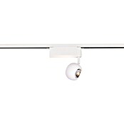 Trio Lighting DUOline Led-plafondspot Hamlet (Metaal, Wit) | BAUHAUS