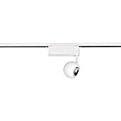 Trio Lighting DUOline Led-plafondspot Hamlet (Metaal, Wit) | BAUHAUS