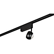 Trio Lighting DUOline Led-plafondspot Hamlet (Metaal, Zwart) | BAUHAUS