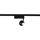 Trio Lighting DUOline Led-plafondspot Hamlet (Metaal, Zwart) | BAUHAUS