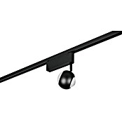 Trio Lighting DUOline Led-plafondspot Hamlet (Metaal, Zwart) | BAUHAUS