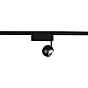 Trio Lighting DUOline Led-plafondspot Hamlet (Metaal, Zwart) | BAUHAUS