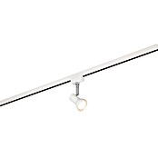 Trio Lighting DUOline Led-plafondspot Cantar (l x b x h: 5,5 x 9 x 14 cm, Metaal, Wit) | BAUHAUS