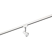 Trio Lighting DUOline Led-plafondspot Cantar (l x b x h: 5,5 x 9 x 14 cm, Metaal, Wit) | BAUHAUS