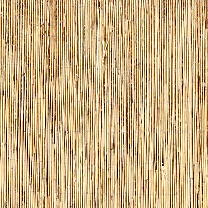Gardol Schilfrohrmatte (600 x 200 cm, Geeignet für: Sicht- und Windschutz)