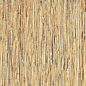 Gardol Schilfrohrmatte (600 x 200 cm, Geeignet für: Sicht- und Windschutz)
